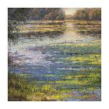 Sunlit Pond 1-Sarback-Framed Giclee Print