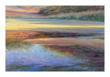 Sunlit Pond 2-Sarback-Framed Giclee Print