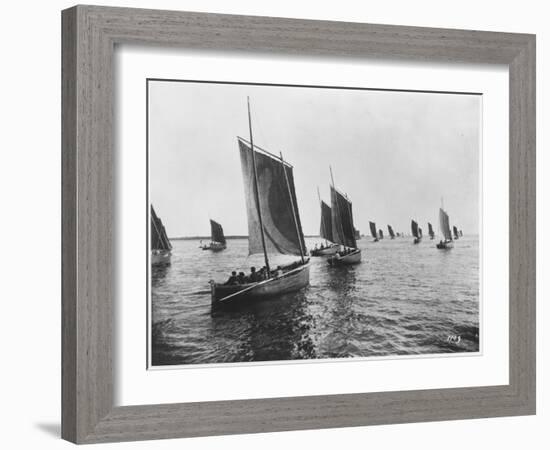 Sardine Boats of Concarneau (Photo)-French Photographer-Framed Giclee Print