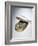 Sardine Can Inversion, 1997-Norman Hollands-Framed Photographic Print