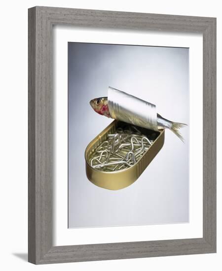 Sardine Can Inversion, 1997-Norman Hollands-Framed Photographic Print