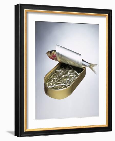 Sardine Can Inversion, 1997-Norman Hollands-Framed Photographic Print