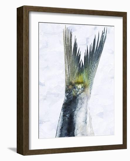 Sardine Tail Fin-Jürgen Holz-Framed Photographic Print