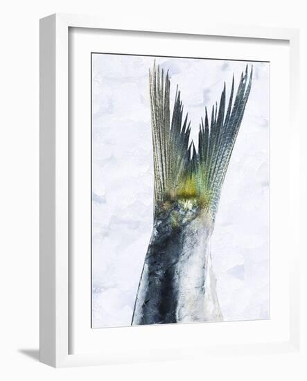 Sardine Tail Fin-Jürgen Holz-Framed Photographic Print