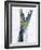 Sardine Tail Fin-Jürgen Holz-Framed Photographic Print