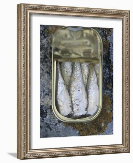 Sardines in a Tin-Joerg Lehmann-Framed Photographic Print