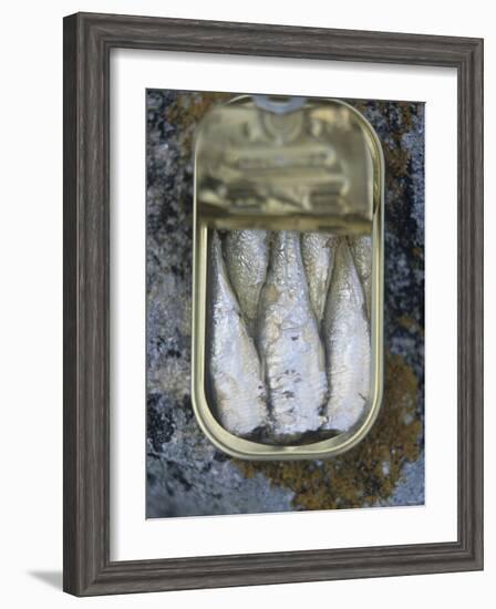 Sardines in a Tin-Joerg Lehmann-Framed Photographic Print