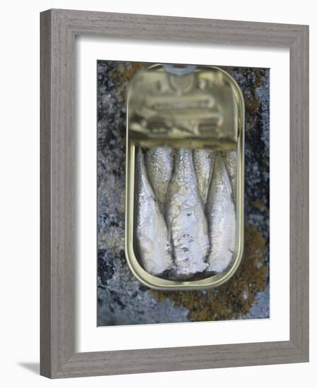 Sardines in a Tin-Joerg Lehmann-Framed Photographic Print