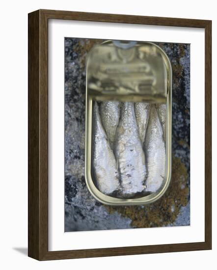 Sardines in a Tin-Joerg Lehmann-Framed Photographic Print