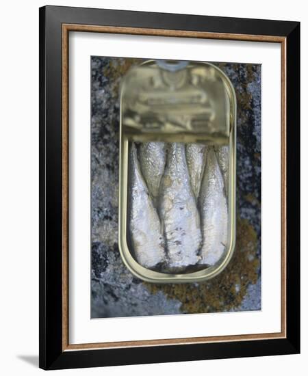 Sardines in a Tin-Joerg Lehmann-Framed Photographic Print