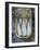 Sardines in a Tin-Joerg Lehmann-Framed Photographic Print