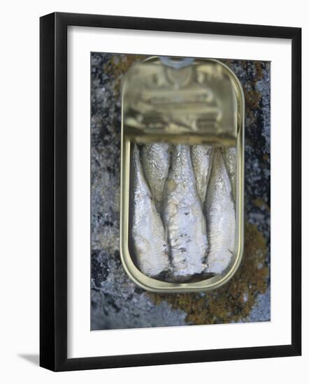 Sardines in a Tin-Joerg Lehmann-Framed Photographic Print