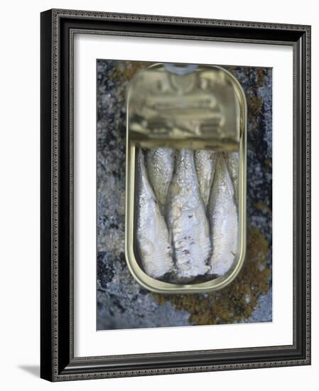 Sardines in a Tin-Joerg Lehmann-Framed Photographic Print