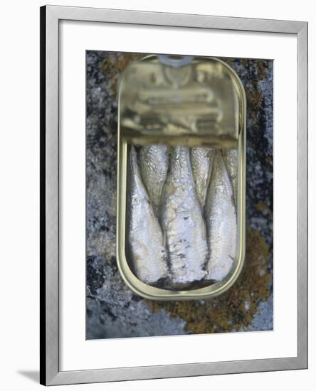 Sardines in a Tin-Joerg Lehmann-Framed Photographic Print