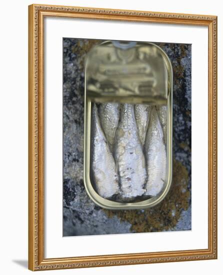 Sardines in a Tin-Joerg Lehmann-Framed Photographic Print