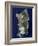 Sardinia, Satellite Image-PLANETOBSERVER-Framed Photographic Print