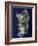 Sardinia, Satellite Image-PLANETOBSERVER-Framed Photographic Print