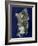 Sardinia, Satellite Image-PLANETOBSERVER-Framed Photographic Print