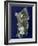 Sardinia, Satellite Image-PLANETOBSERVER-Framed Photographic Print