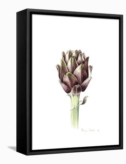 Sardinian Artichoke, 2016-Alison Cooper-Framed Premier Image Canvas