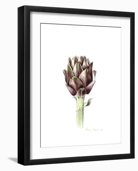 Sardinian Artichoke, 2016-Alison Cooper-Framed Giclee Print