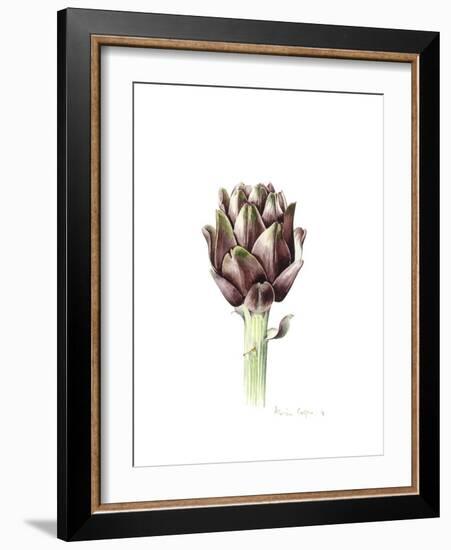 Sardinian Artichoke, 2016-Alison Cooper-Framed Giclee Print