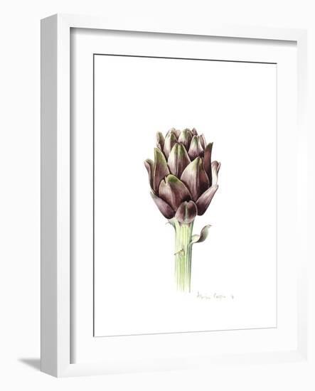 Sardinian Artichoke, 2016-Alison Cooper-Framed Giclee Print