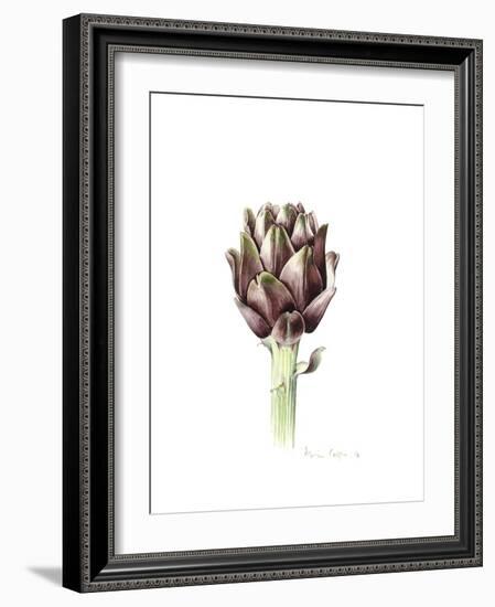 Sardinian Artichoke, 2016-Alison Cooper-Framed Giclee Print