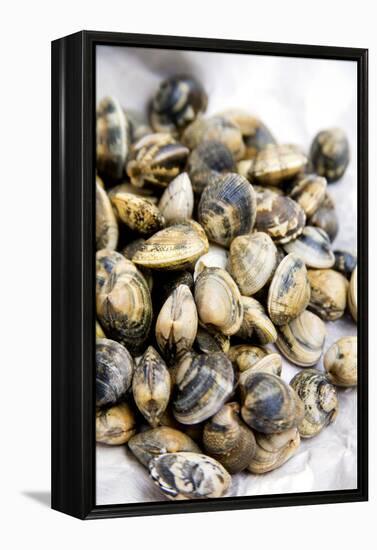 Sardinian Cockles-Veronique Leplat-Framed Premier Image Canvas