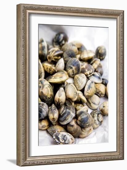 Sardinian Cockles-Veronique Leplat-Framed Photographic Print