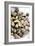 Sardinian Cockles-Veronique Leplat-Framed Photographic Print