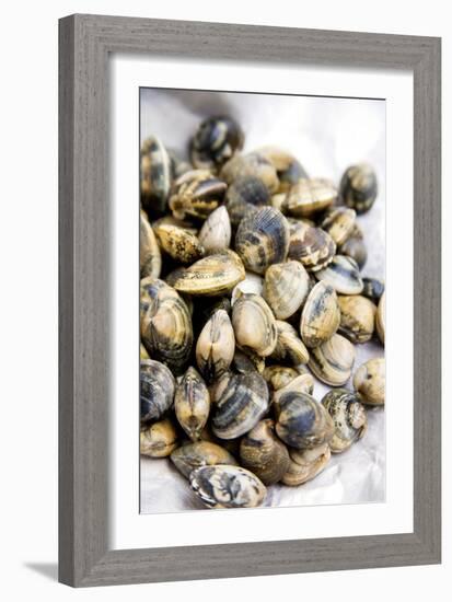 Sardinian Cockles-Veronique Leplat-Framed Photographic Print