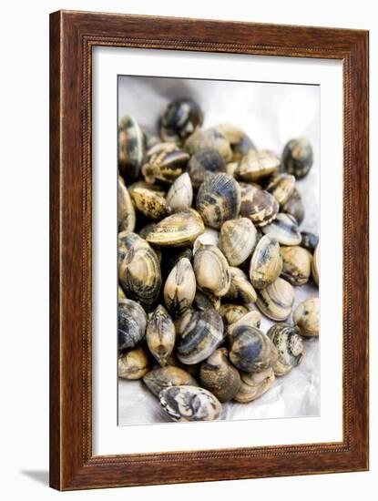 Sardinian Cockles-Veronique Leplat-Framed Photographic Print