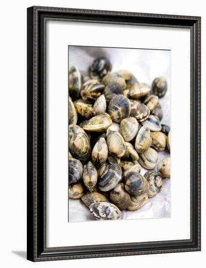 Sardinian Cockles-Veronique Leplat-Framed Photographic Print