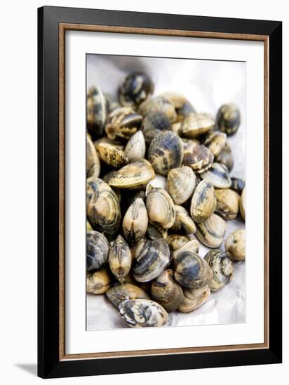 Sardinian Cockles-Veronique Leplat-Framed Photographic Print