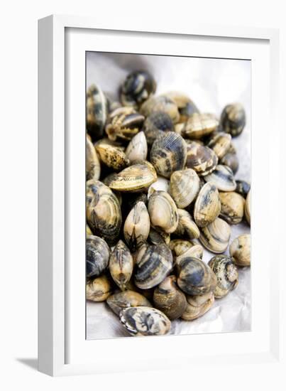 Sardinian Cockles-Veronique Leplat-Framed Photographic Print