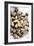 Sardinian Cockles-Veronique Leplat-Framed Photographic Print