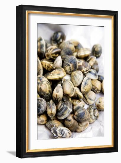 Sardinian Cockles-Veronique Leplat-Framed Photographic Print