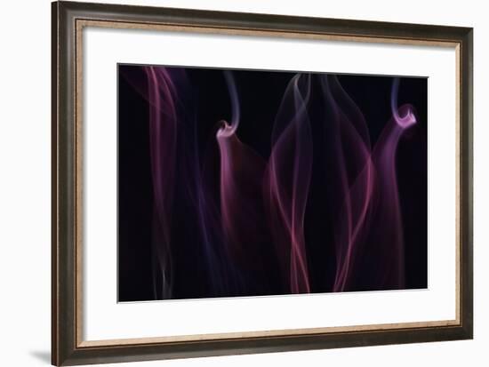 Sareptas Jar-Heidi Westum-Framed Photographic Print