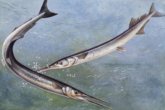 Starbound sex mods Korsetdagi qizlar bilan jinsiy aloqa