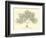 Sargasso, or Gulf-Weed-null-Framed Giclee Print