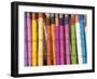 Sari Lengths of Brightly Coloured Cotton, Hand Woven on Village Looms, Kalna, West Bengal, India-Annie Owen-Framed Photographic Print