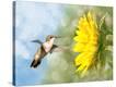 Stretched Canvas Print