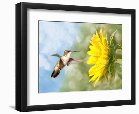 Photographic Print, , large