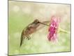 Premium Photographic Print