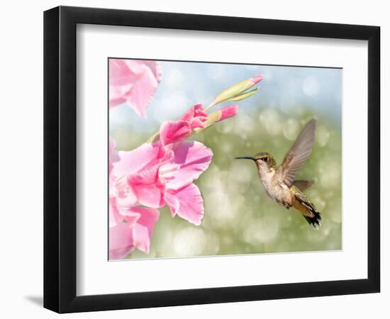 Photographic Print, , large