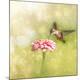 Premium Photographic Print