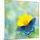 Premium Photographic Print