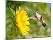 Premium Photographic Print