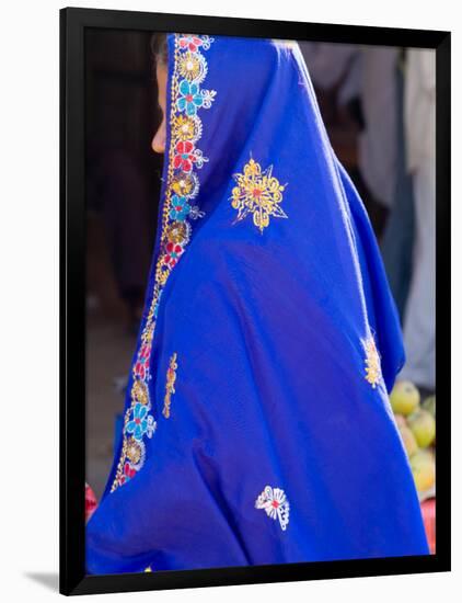 Sari Woman, New Delhi, India-Bill Bachmann-Framed Premium Photographic Print
